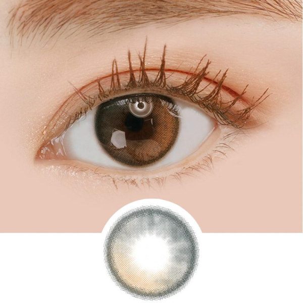 i-Sha 1-Day Oriana Shade Grey (10pk) Hot on Sale