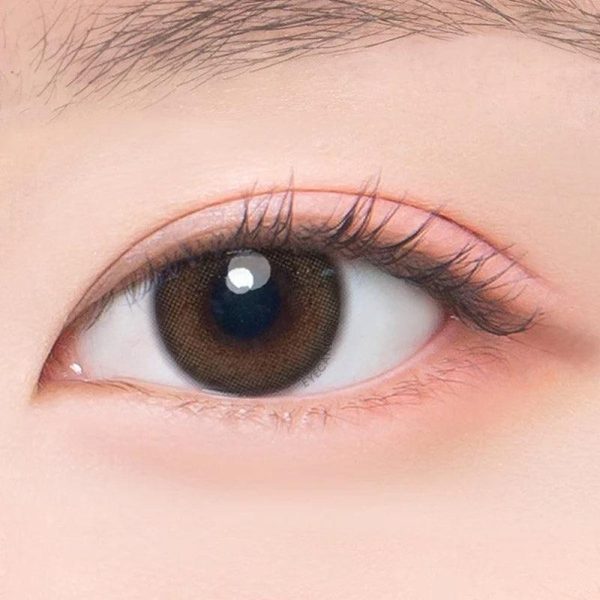 DooNoon Jinju 1-Day Brown (10pk) Sale - Image 2